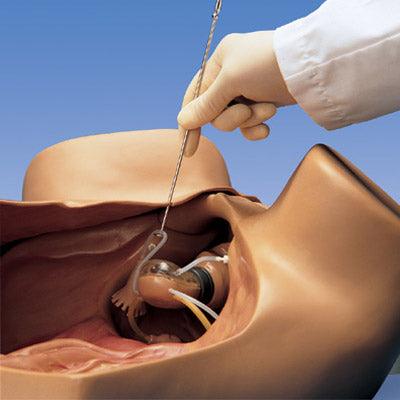ZOE Gynecologic Simulator, Light