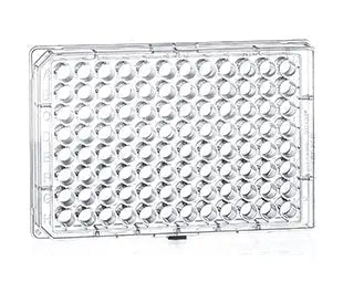 96-well F-bottom cell culture microplate made of polystyrene by GBO, with clear wells for scientific laboratory use